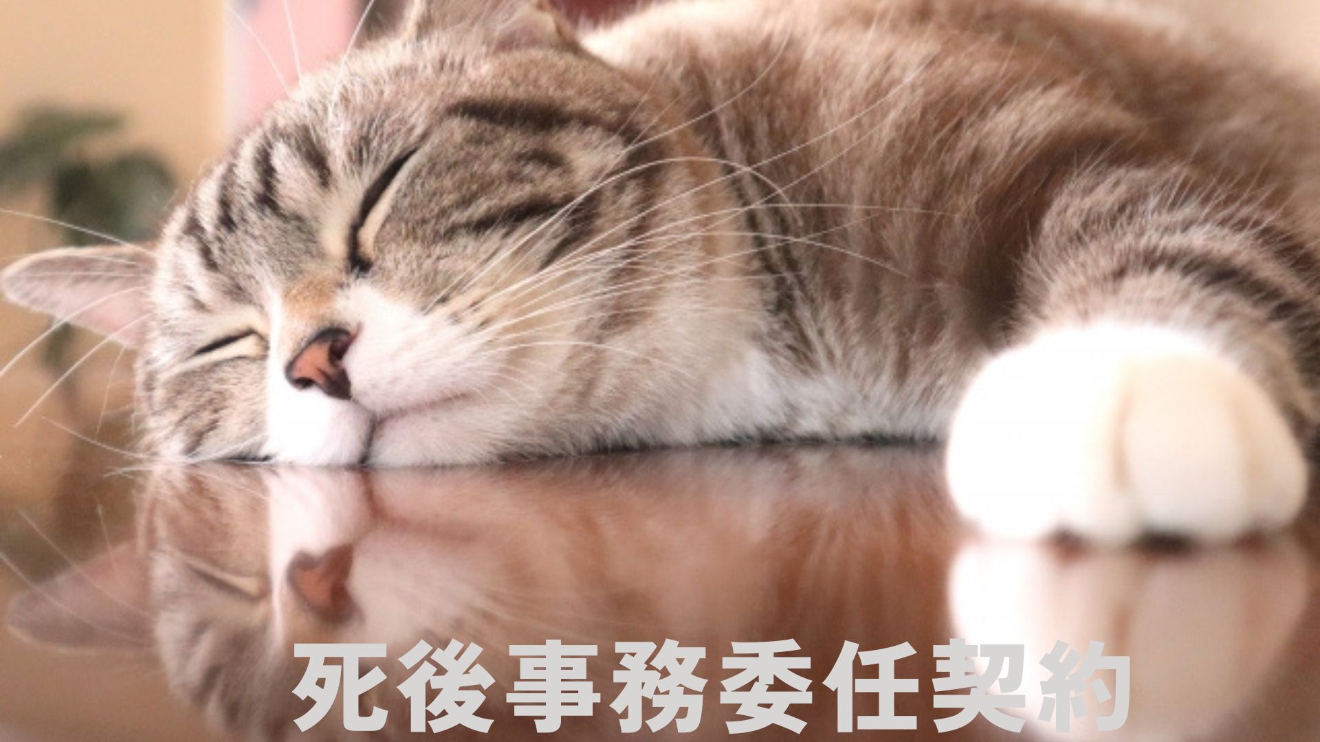 死後事務委任契約による生前対策サポートをご案内