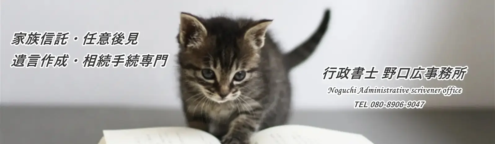 相続・生前対策の料金｜トータルサポートと費用目安【行政書士】